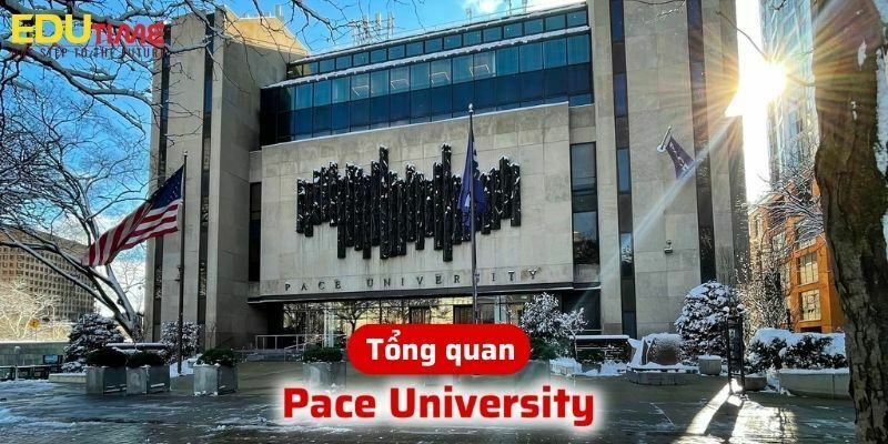 tổng quan về du học mỹ trường đại học pace university