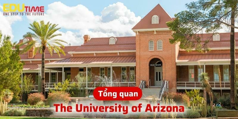 tổng quan về du học mỹ trường the university of arizona