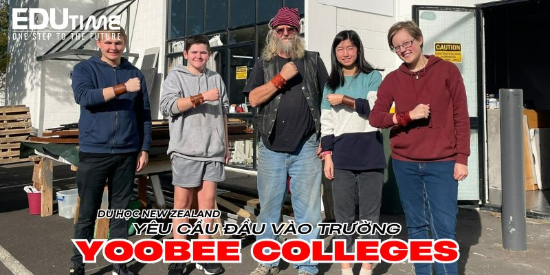 yêu cầu đầu vào của yoobee colleges