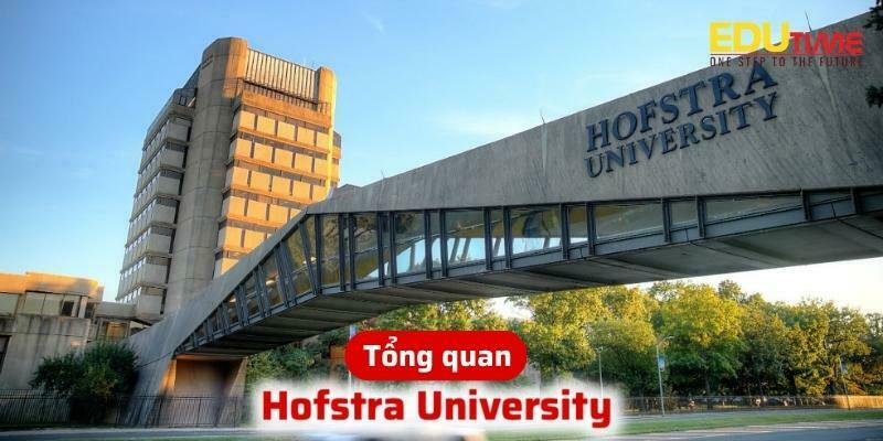 tổng quan về du học mỹ trường đại học hofstra university hof