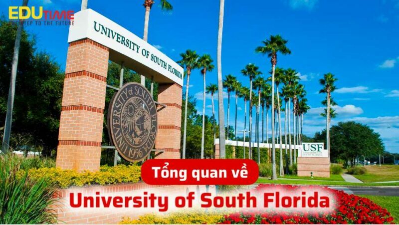 tổng quan về du học mỹ trường đại học university of south florida usf
