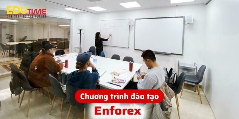 chương trình đào tạo trường enforex