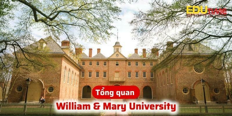 tổng quan về du học mỹ trường đại học william & mary university