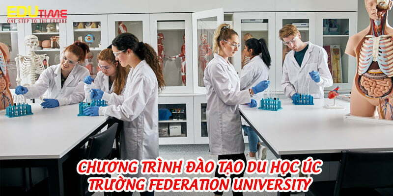 chương trình đào tạo du học úc trường federation university