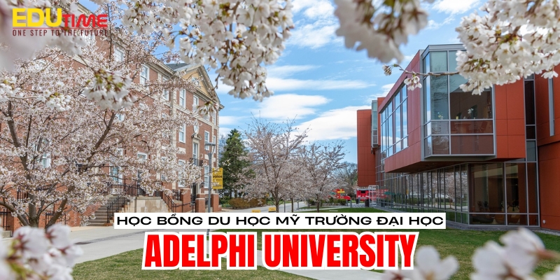 điều kiện du học mỹ trường đại học adelphi university