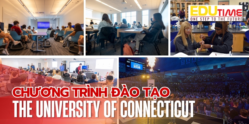 chương trình đào tạo du học mỹ trường the university of connecticut