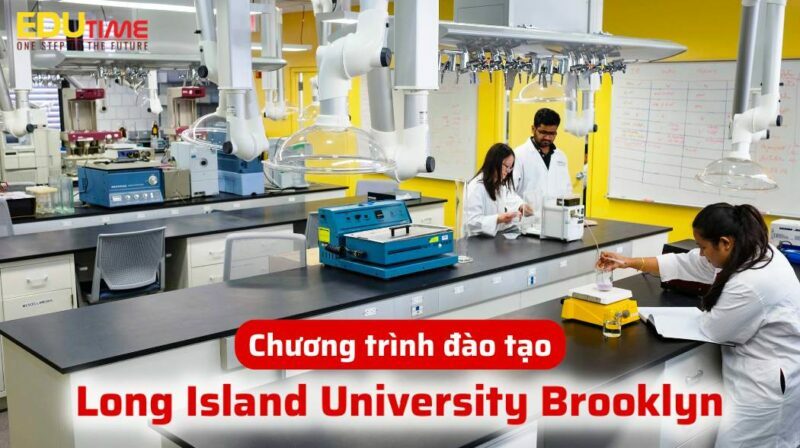 chương trình đào tạo du học mỹ trường long island university brooklyn