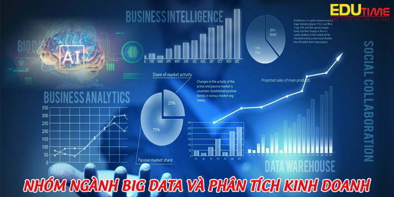 nhóm ngành big data và phân tích kinh doanh