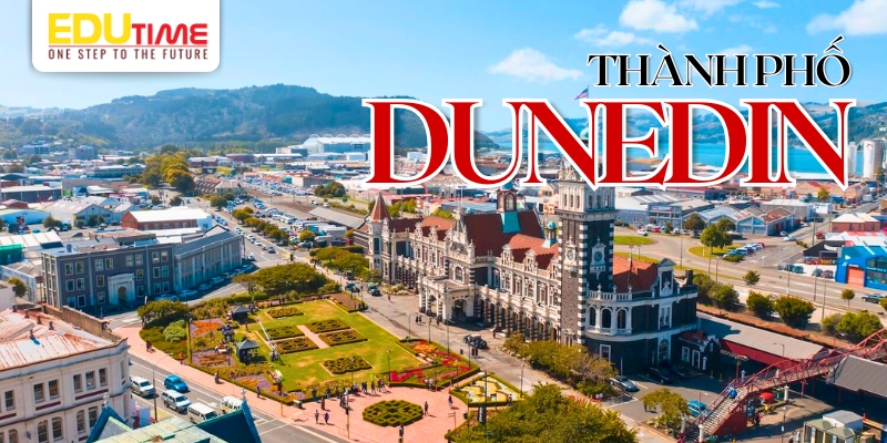 du học new zealand ở dunedin - thành phố đảo nam new zealand