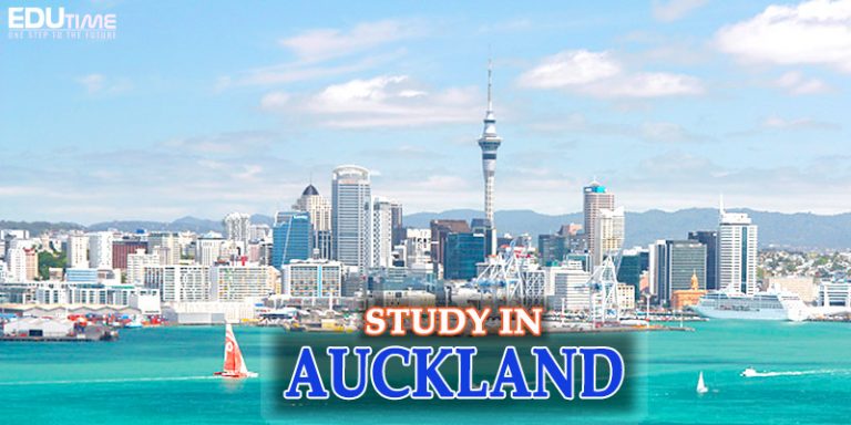 Du học ở Auckland New Zealand: Thành phố yên bình để học tập!