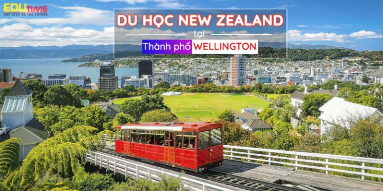 Du học New Zealand thành phố Wellington giàu sức sống!