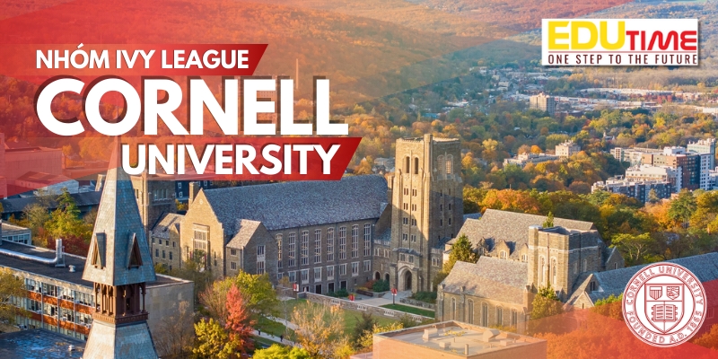 đại học cornell đại học trẻ nhất nhóm ivy league