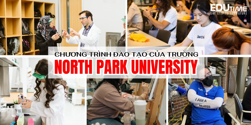 chương trình đào tạo du học mỹ trường đại học north park university