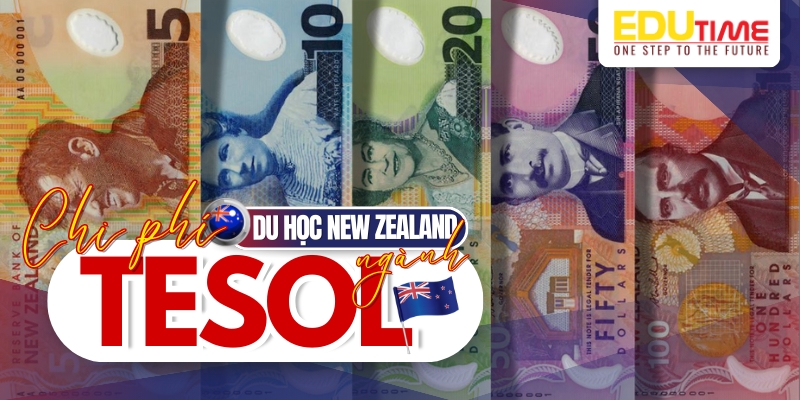 Chi phí du học New Zealand ngành TESOL chi phí du học new zealand ngành tesol