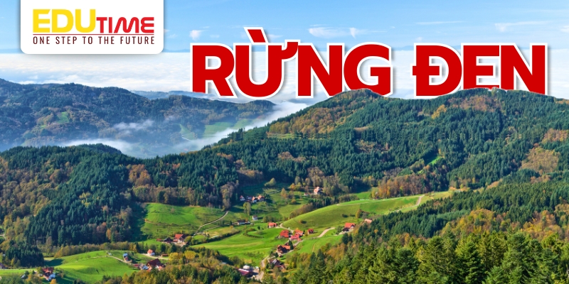 rừng đen (black forest) – vùng đất cổ tích
