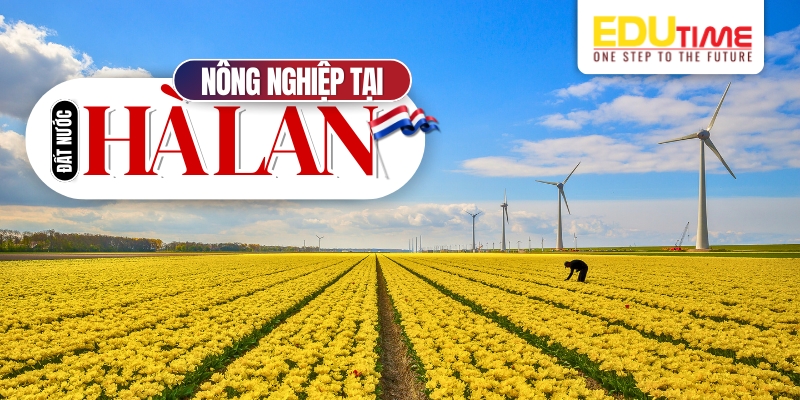 nông nghiệp - sức mạnh của hà lan
