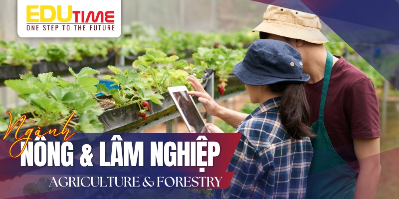 ngành nông nghiệp và lâm nghiệp (agriculture & forestry)