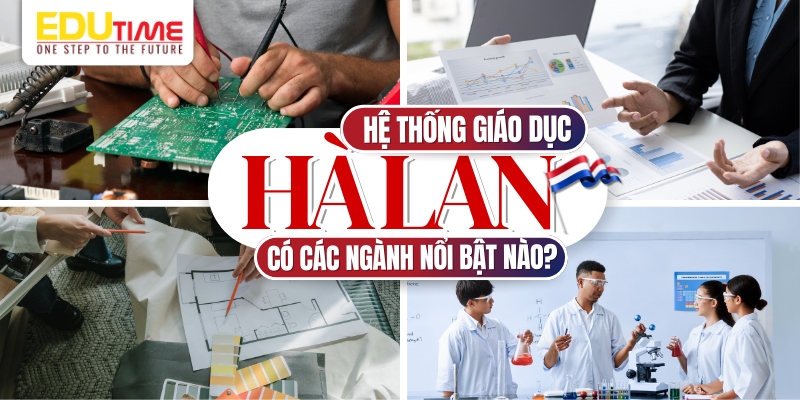 các ngành học nổi bật trong hệ thống giáo dục hà lan
