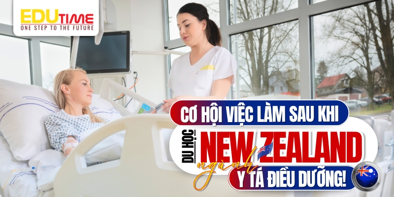 Cơ hội việc làm khi du học New Zealand ngành Y tá điều dưỡng cơ hội việc làm khi du học new zealand ngành y tá điều dưỡng