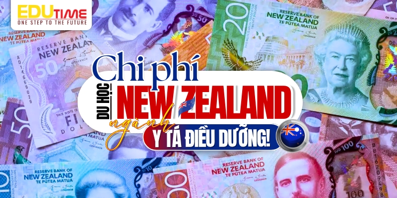 Chi phí du học New Zealand ngành Y tá điều dưỡng chi phí du học new zealand ngành y tá điều dưỡng
