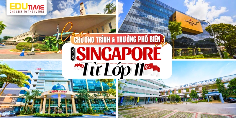 các chương trình và trường học phổ biến cho du học singapore từ lớp 11