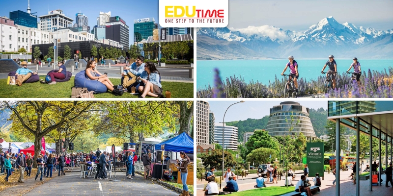 môi trường sống new zealand siêu thân thiện, an toàn