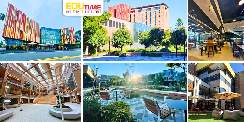 trải nghiệm học tập & cơ sở vật chất đại học macquarie (macquarie university)