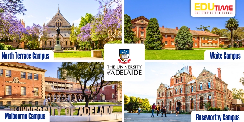 cơ sở vật chất khi du học úc đại học adelaide (the university of adelaide)