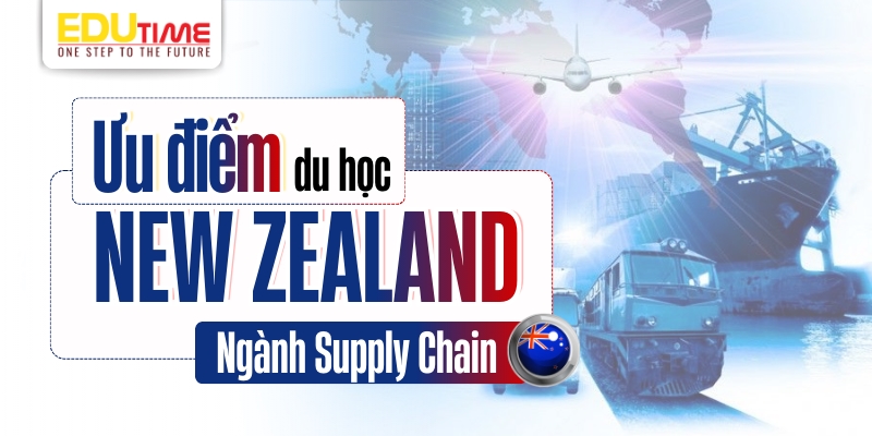 ưu điểm du học new zealand ngành supply chain