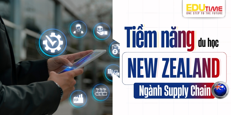 tiềm năng du học new zealand ngành supply chain