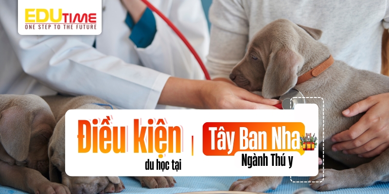 điều kiện du học tây ban nha ngành thú y