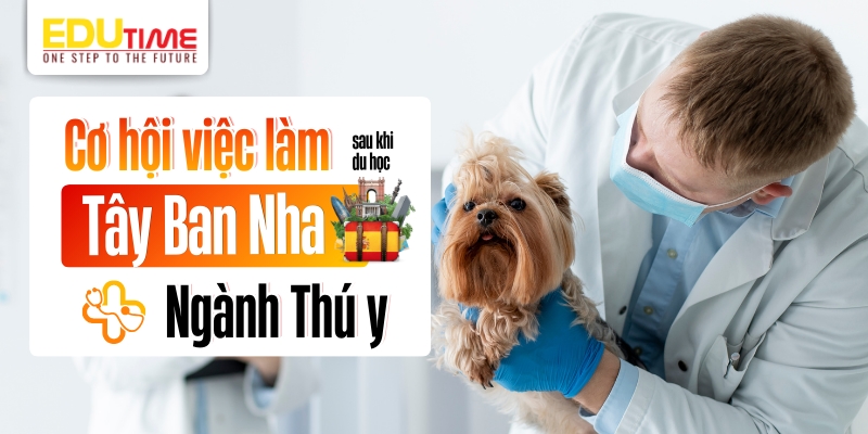cơ hội việc làm sau du học tây ban nha ngành thú y