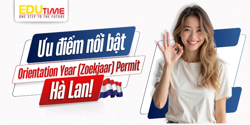 ưu điểm nổi bật của năm định hướng orientation year (zoekjaar) permit hà lan