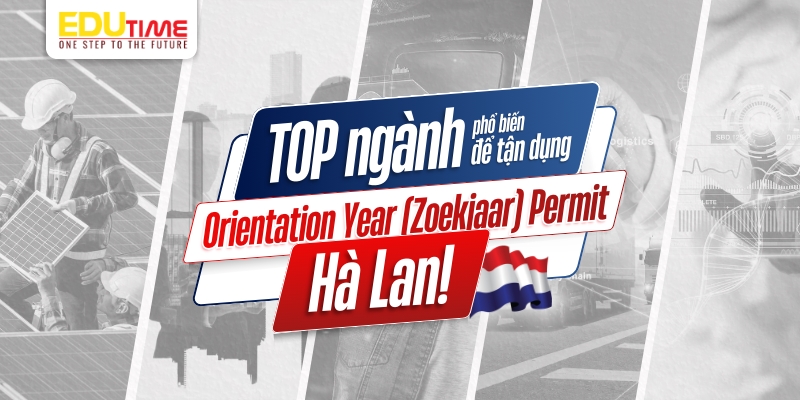 top ngành phổ biến để tận dụng orientation year (zoekjaar) permit hà lan