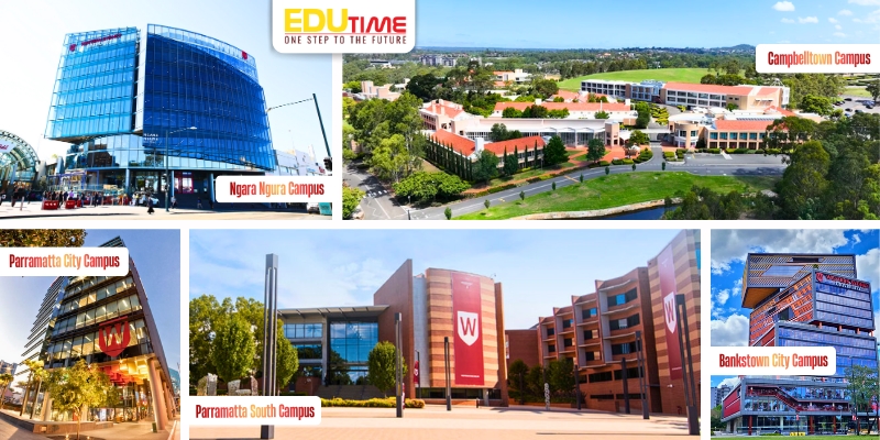 các campus của đại học western sydney university (wsu)