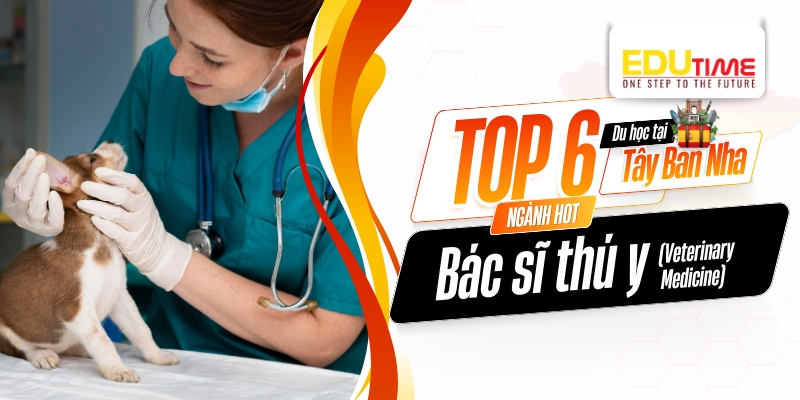 top 6 ngành bác sĩ thú y (veterinary medicine)