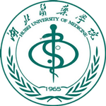 Hubei University Of Medicine