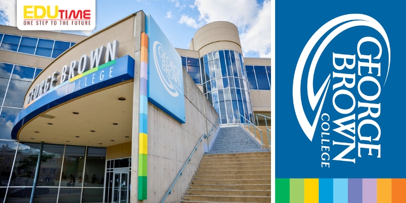 Du học Canada ngành Digital Marketing trường George Brown College du học canada ngành digital marketing trường george brown college