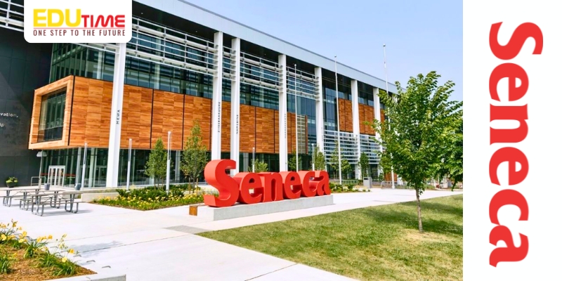 du học canada ngành thiết kế đồ họa trường seneca college
