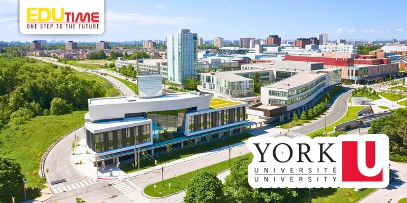 Du học Canada ngành Tài chính trường York University: Schulich School of Business danh tiếng Bắc Mỹ du học canada ngành tài chính trường york university: schulich school of business danh tiếng bắc mỹ