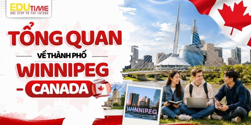 tổng quan về thành phố winnipeg canada