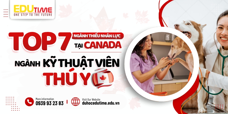 Top 7 ngành thiếu nhân lực tại Canada - Ngành Kỹ thuật viên thú y top 7 ngành thiếu nhân lực tại canada - ngành kỹ thuật viên thú y