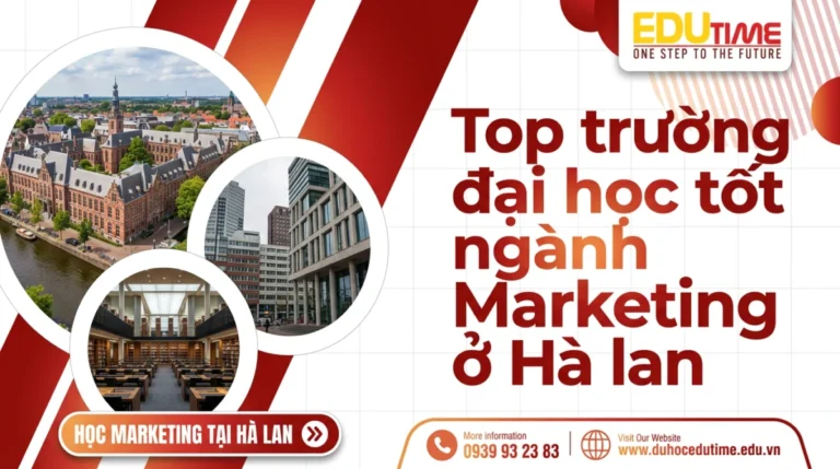 Top trường đại học tốt ngành Marketing ở Hà lan
