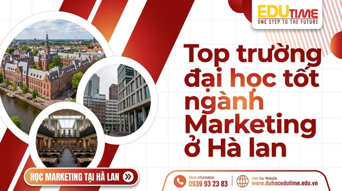 Top Truong Dai Hoc Tot Nganh Marketing O Ha Lan.webp