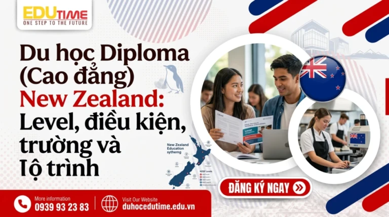 Du học Diploma (Cao đẳng) New Zealand: Level, điều kiện, trường và lộ trình