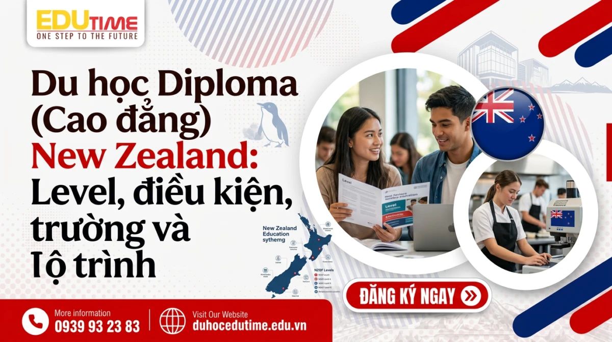 Du học Diploma (Cao đẳng) New Zealand: Level, điều kiện, trường và lộ trình