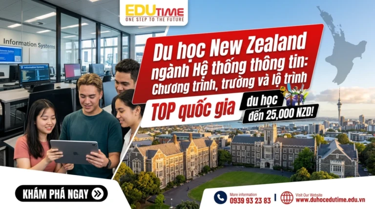 Du học New Zealand ngành Hệ thống thông tin: Chương trình, trường và lộ trình