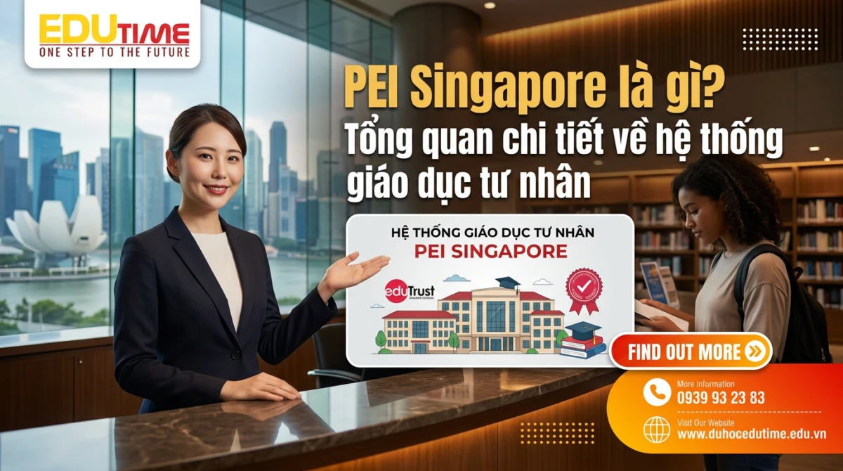 PEI Singapore là gì? Tổng quan chi tiết về hệ thống giáo dục tư nhân