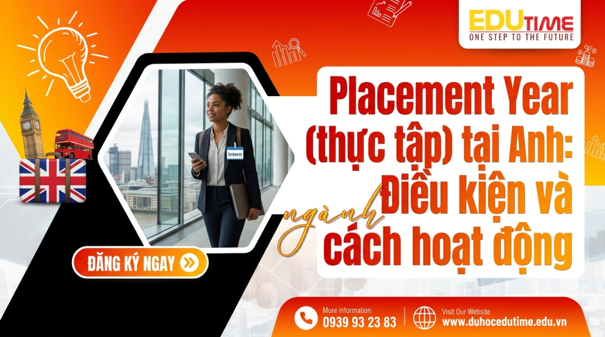 Placement Year (thực tập) tại Anh: Điều kiện và cách hoạt động