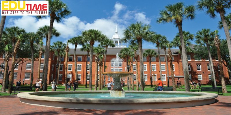 Du học Mỹ 2018 trường University of South Florida